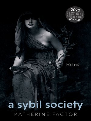 cover image of A Sybil Society